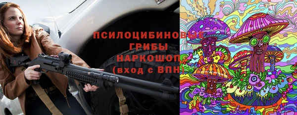ALPHA PVP Куйбышев