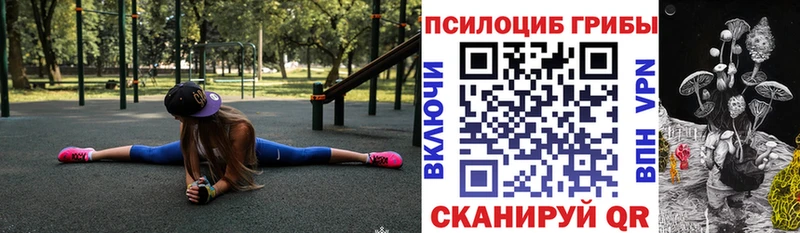 ссылка на мегу   Лодейное Поле  Псилоцибиновые грибы мицелий 